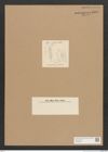 Diatomeae indet. Zeichnungen Sammlung Grunow Nr. 2596 (NHMW-BOT-W0369788)